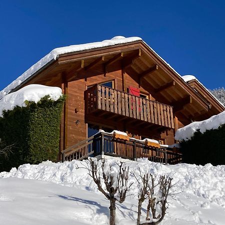 Chalets Du Danay Lachat Saint-Jean-de-Sixt Exterior photo